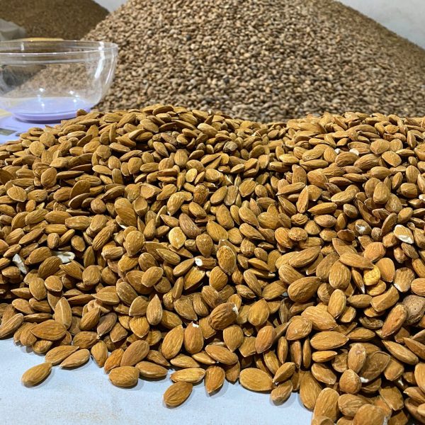 IMG-20240620-WA0019 IMG-20240620-WA0019